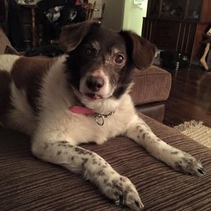 Meet your Posher, Scott